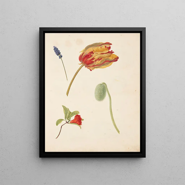 Studie van tulpen en andere bloemen - Johanna Fosie — ingelijst kunstwerk aan de muur