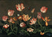 Natuurtafereel met tulpen - Johannes Bosschaert — weergave van het kunstwerk
