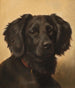 Setter zwart - Johannes Christian Deiker — weergave van het kunstwerk