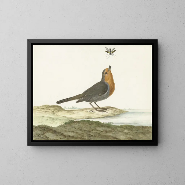 Red-breast Painting - Johannes van Bronckhorst — framed artwork on a wall