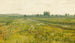 a vast prairie landscape with geese near a stream - John Atkinson Grimshaw — artwork view