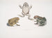 Crapaud à nez caréné Bufo carinatus 2 2a Crapaud douteux Bufo dubius Bengale - John Edward Gray — weergave van het kunstwerk