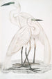 Héron blanc pur Ardea modesta 2 Héron à bec noir Ardea nigrirostris - John Edward Gray — weergave van het kunstwerk