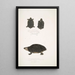Tortue tachetée Emys Guttata Emys Hamiltonii 2 Tortue à cou épais Emys crassicollis - John Edward Gray — ingelijst kunstwerk aan de muur