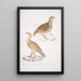 Perdrix des bois Perdix gularis 2 Perdrix orientale Perdix orientalis - John Edward Gray — ingelijst kunstwerk aan de muur