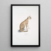 Beau kat Felis ornata - John Edward Gray — ingelijst kunstwerk aan de muur
