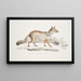 Renard Bengal Canis Vulpes Bengalensis Canis Kokree - John Edward Gray — ingelijst kunstwerk aan de muur