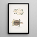 Trionyx plat Tryonix subplanus - John Edward Gray — ingelijst kunstwerk aan de muur