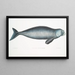 Dugong indien Halicora Dugung - John Edward Gray — ingelijst kunstwerk aan de muur