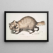 van een Hond met Raccoon Gezicht Canis procyonoides China - John Edward Gray — ingelijst kunstwerk aan de muur