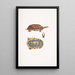Tortue-boîte à trois bandes Cistuda trifasciata - John Edward Gray — ingelijst kunstwerk aan de muur