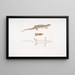 Tiliqua à trois bandes Tiliqua trivittata - John Edward Gray — ingelijst kunstwerk aan de muur