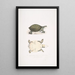 Jeune Trionyx valvulaire Trionyx punctata junior - John Edward Gray — ingelijst kunstwerk aan de muur