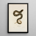 Heterodon à nez plat - John Edwards Holbrook — ingelijst kunstwerk aan de muur