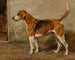 Ringwood - John Emms — artwork view
