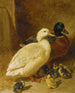 van Kanaries en eendjes - John Frederick Herring l'Ancien — weergave van het kunstwerk