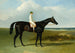 De donkere renpaard van de heer O'Brien, Jonathan Wild, met jockey T. Ryder - John Frederick Herring de Oudere — weergave van het kunstwerk