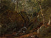 Waterval van de Catskills - John Frederick Kensett — weergave van het kunstwerk