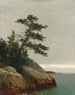 De oude dennenboom Darien Connecticut - John Frederick Kensett — weergave van het kunstwerk