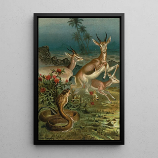 John George Wood - African Cobra or Haje and Gazelles.webp