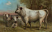 van Chillingham-runderen - John George Wood — weergave van het kunstwerk