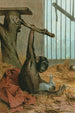 Chimpanzee - John George Wood — weergave van het kunstwerk
