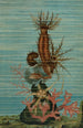 Holothuries en zeester - John George Wood — weergave van het kunstwerk