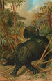 Rhinocéros - John George Wood — weergave van het kunstwerk