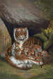 Tijger - John George Wood — weergave van het kunstwerk