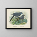 Glaucopis wilsoni en Glaucopis cinerea - John Gerrard Keulemans — ingelijst kunstwerk aan de muur