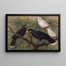 Drie huia Heteralocha acutirostris - John Gerrard Keulemans — ingelijst kunstwerk aan de muur