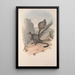 Une monographie des Macropodidae ou famille des kangourous Pl23 - John Gould — ingelijst kunstwerk aan de muur