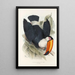 Een monografie van de Ramphastidae of familie van de toekans Pl06 - John Gould — ingelijst kunstwerk aan de muur