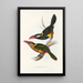 Une monographie des Ramphastidae ou familie des toucans Pl22 - John Gould — ingelijst kunstwerk aan de muur