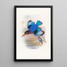 Martin-pêcheur blauw en wit - John Gould — ingelijst kunstwerk aan de muur