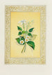Jasmin et fleur de fraisier - John Henry Ingram — weergave van het kunstwerk