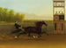 Paard dat loopt, duur 2:25 - John J Mcauliffe — weergave van het kunstwerk