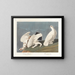 van de Salixlagopède - John James Audubon — ingelijst kunstwerk aan de muur