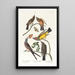 Tyran de l'Arkansas Tyran à queue fourchue - John James Audubon — ingelijst kunstwerk aan de muur