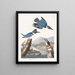 American Kingfisher Painting - John James Audubon — framed artwork on a wall