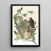 Buse à larges ailes - John James Audubon — ingelijst kunstwerk aan de muur
