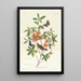 Paruline à tête brune mangeuse de vers - John James Audubon — ingelijst kunstwerk aan de muur