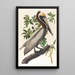 Pélican brun Pelecanus fuscus - John James Audubon — ingelijst kunstwerk aan de muur