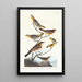 Oriole de Bullock, Oriole de Baltimore, Chardonneret mexicain, Grive variée, Grive des ruisseaux - John James Audubon — ingelijst kunstwerk aan de muur