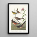 Pinson couleur châtaigne, Tarin à tête noire, Bruant à couronne noire, Bruant arctique - John James Audubon — ingelijst kunstwerk aan de muur