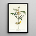 Paruline des enfants - John James Audubon — ingelijst kunstwerk aan de muur