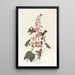 Colibri de Colombie - John James Audubon — ingelijst kunstwerk aan de muur