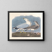 Grijze Meeuw - John James Audubon — ingelijst kunstwerk aan de muur