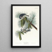 Mésange huppée - John James Audubon — ingelijst kunstwerk aan de muur