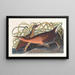 Waterfowl - John James Audubon — framed artwork on a wall